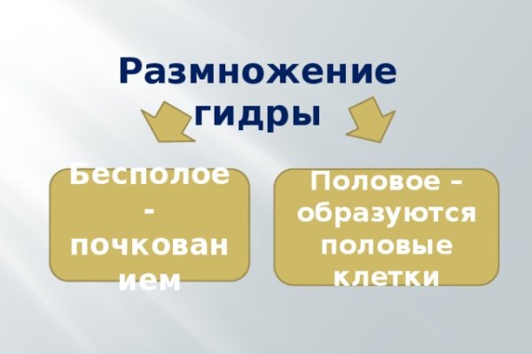 Как восстановить пароль кракен
